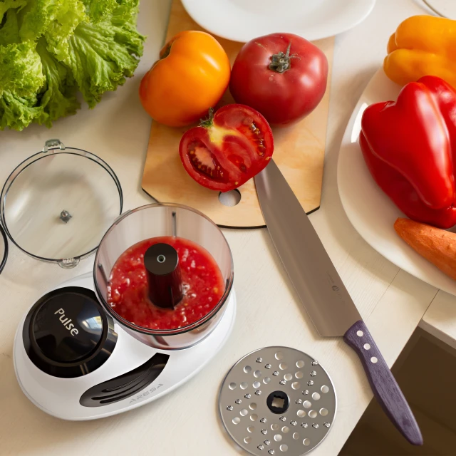 Food processor AR-1706